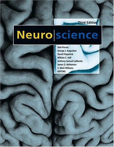 Cognitive Neuroscience Banich 3rd Edition Pdf Casinithoughts Cognitive Neuroscience Banich 3rd Edition Pdf Casinithoughts